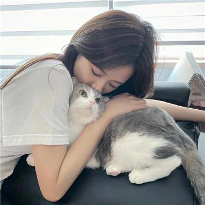 新十二生肖